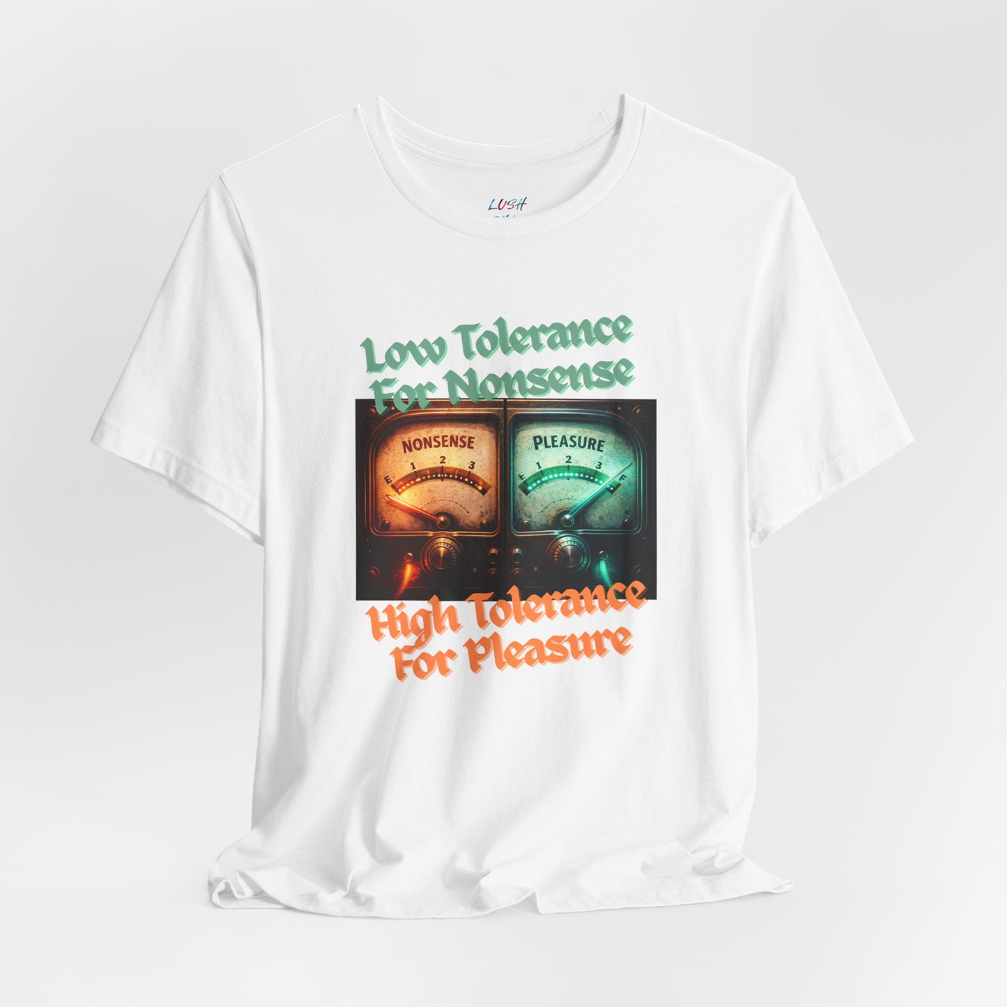 Low Tolerance for Nonsense, High Tolerance for Pleasure T Shirt
