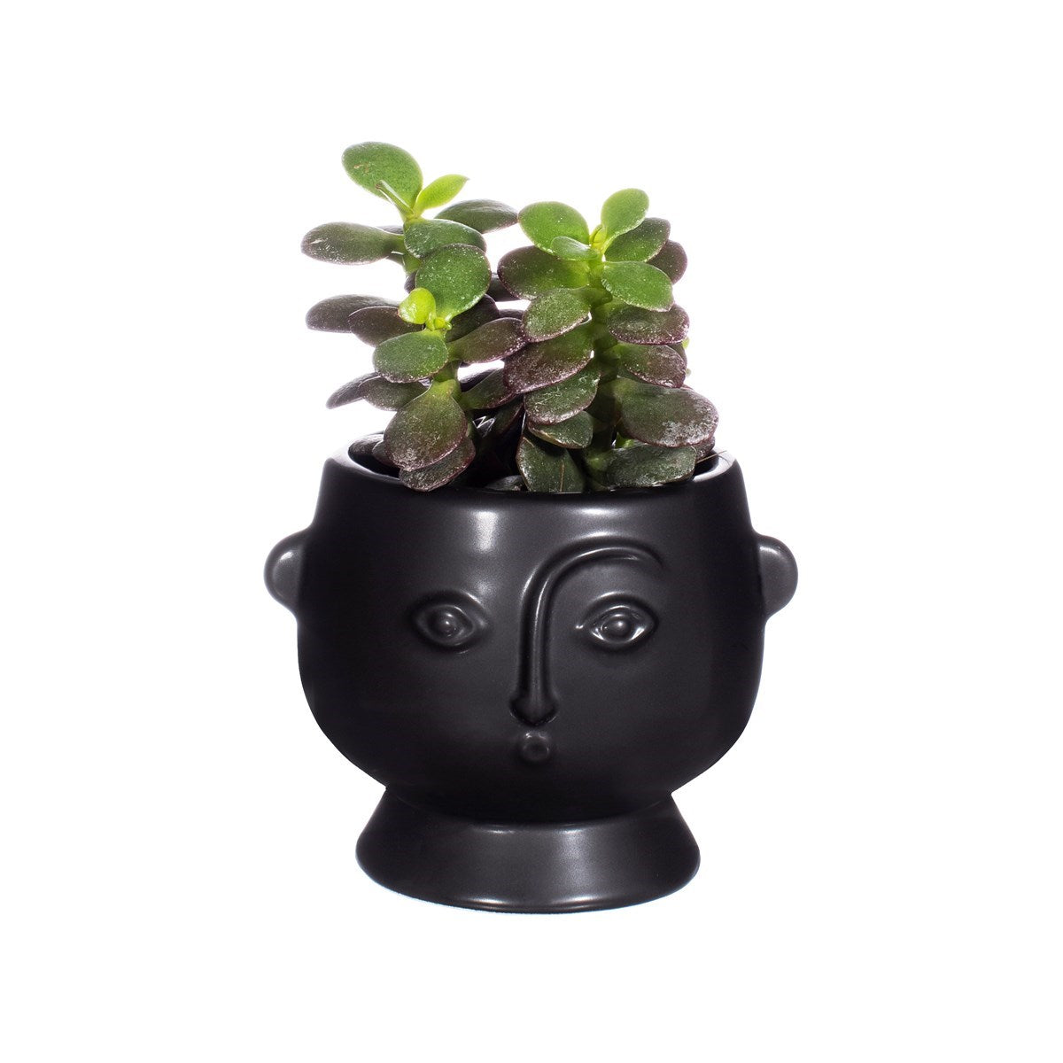 Small Face Planter Matt Black