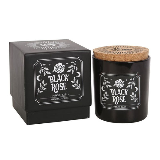 Black Rose Twilight Blush Candle